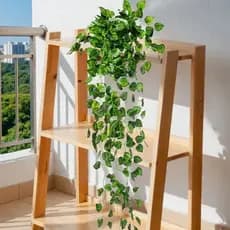 Kit 2 Pendentes Folhagem Artificial Verde Peperômia Decoração para Vaso Muro Inglês 97cm