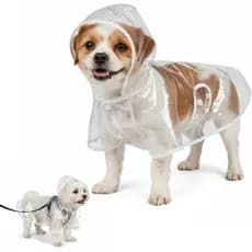 Capa de Chuva Transparente para Cães Impermeável com Capuz e Abertura para Peitoral