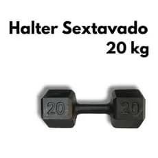 Halter Sextavado Pintado 20kg Musculação Treinamento Fisioterapia