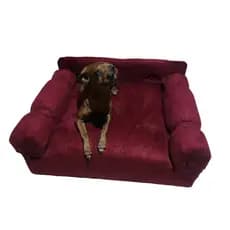 Cama Sofá Pet Para Cães E Gatos Feito em Suede Azul ou Rosa