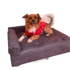 Sofá Pet Divã Para Cães E Gatos Em Varias Cores em Suede