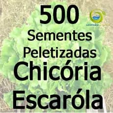 500 Sementes Peletizadas Chicoria Escarola Hidropônica ou Terra ( solo )