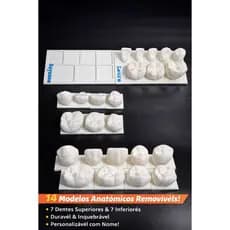 Macromodelo Odontológico Dentes Anatômico Personalizado Estudo Faculdade – Dentes Removíveis 14 Uniadades