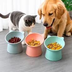 Comedouro Bebedouro Elevado Anti Engasgo para Pet Cachorros e Gatos
