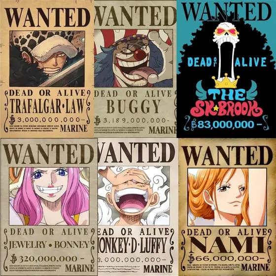 Placa Decorativa metal One Piece procurados Wanted Recompensa A4 20X28 Já Acompanha Dupla Face
