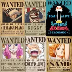 Placa Decorativa metal One Piece procurados Wanted Recompensa A4 20X28 Já Acompanha Dupla Face