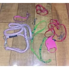 Kit de coleiras diversos modelos e tamanhos