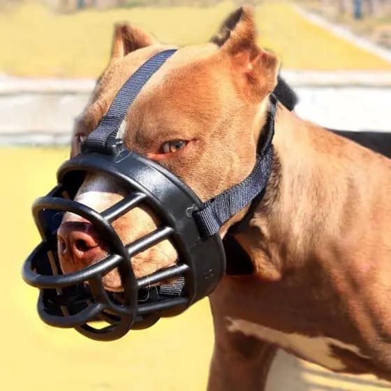 Focinheira De Silicone Macio Respirável Para Evitar Comer E Latido De Cachorro De Estimação