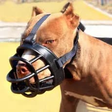 Focinheira De Silicone Macio Respirável Para Evitar Comer E Latido De Cachorro De Estimação