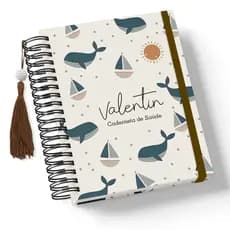 Caderneta de Saúde/Vacina - Menino - Capa Dura - Personalizada - Vários Temas Novos