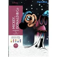 livro pintura numerda- portrait mystery mickey donald & co - encadernado A4