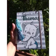 Caderneta De Vacinação Da Criança Capa Dura Personalizada Caderneta de Saúde Personalizada | Nome na Capa - Diversos temas