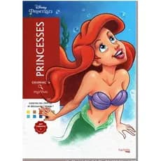 livro portraits mistérios Disney, ARIEL  encadernado tamanho A4