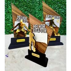 Troféu Melhor Goleiro - Artilheiro - Melhor Jogador - Melhor Técnico  Acrílico  com estrutura em MDF