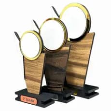 Kit Troféus Madeira Natural Acrílico Premiação Campeonato Esporte