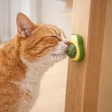 Brinquedo Catnip Natural Abacate para Gatos – Estimula Instinto Natural