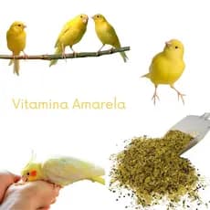 Vitamina Amarela Para Canários - 10Kg E Outros Pássaros Vitamina Nutrientes Dieta Alta Qualidade