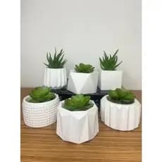 01 Vaso Decorativo, aleatório Texturizado para Suculentas, Cactus e Plantas, lindos para decorar