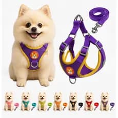 Coleira Cachorro E Gato, Conjunto De Guia + Coleira Colete Para Pet Pequenos E Médios Peitoral