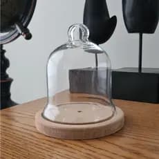 Mini Redoma Com Base De Madeira - Cúpula De Vidro