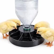 Bebedouro Automático para Pintinhos com Base Estável Adaptável a Garrafa PET