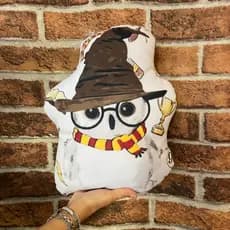 Almofada Decorativa Personalizada Coruja Harry Potter Aveludada