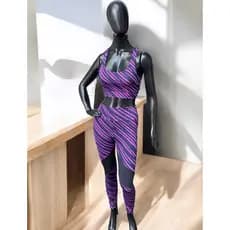 Conjunto fitness suplex