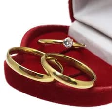 Par Alianças Casamento Fina Abaulada Lisa Polida 3mm Tradicional Simples Classica Aço Inox + Anel