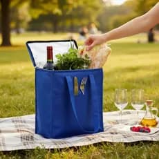 Bolsa Térmica 9 Litros Grande Capacidade Bebidas Marmita Compras