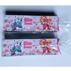 20 Dominó Personalizado Skye e Everest- Dominó Infantil, Brinde, Lembrancinha para Festa