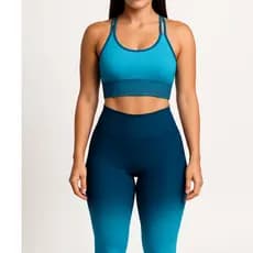 Conjunto Degrade Roupa De Academia Degrade Feminino Suplex