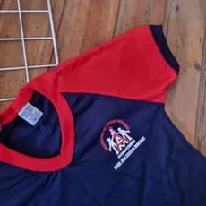 Camiseta E.E.Ana Cecília Martins. Sorocaba, escolar, unissex.