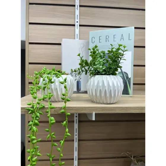 Kit com 2 Arranjos de Planta no Vaso Redondo de Gesso