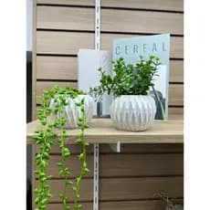 Kit com 2 Arranjos de Planta no Vaso Redondo de Gesso