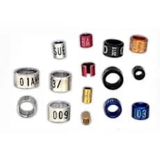 1 Anilha personalizada de marcação Ring neck