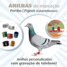 10 unidades personaliza anilhas alumínio colorida pombos 8mm pigeon