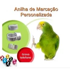 1 Anilha  personalizada de marcação em alumínio papagaio parrot