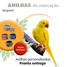 05 Unidades anilhas personalizadas Ring Neck alumínio  colorida