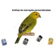 10 Anilhas personalizada de marcação alumínio canário da terra chapinha 2.8mm