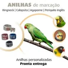 10 anilhas personalizada colorida de marcação alumínio ring neck 7.5