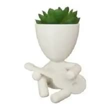 Vaso Decorativo Robert Plant Violao Viola Suculentas