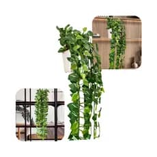 Folhagem Pendente Verde Permanente Jiboia Hera Begonia Mini Folhas Planta Artificial