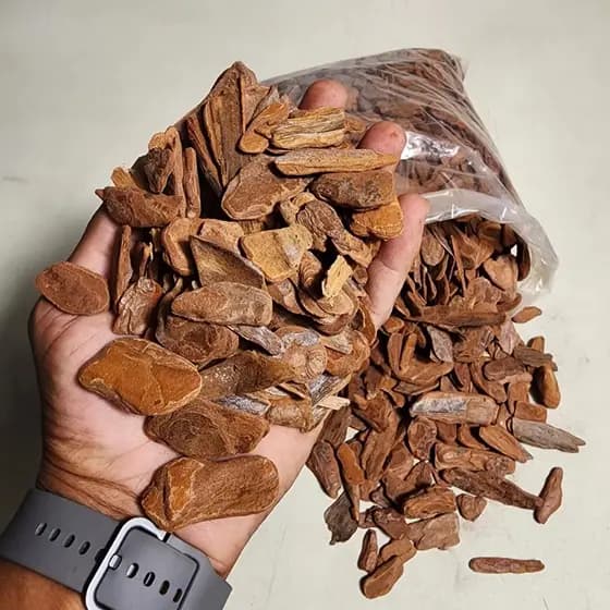 Casca De Pinus Super Polida - 1 Kg Qualidade Premium