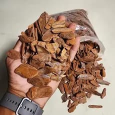 Casca De Pinus Super Polida - 1 Kg Qualidade Premium
