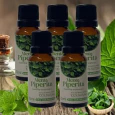 Kit com 5 Óleos Menta Piperita 20ml – Frescor e Energia em Cada Gota
