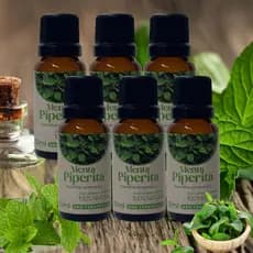 Kit 6x Menta Piperita 20ml – Óleo Natural para Corpo, Cabelos e Aromas