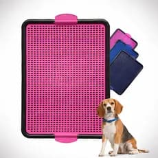 Tapete Sanitário Canino Higiênico Banheiro Educa Pet Tapete Lavável Banheiro Pet