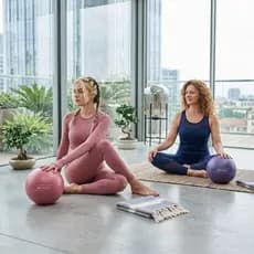Bola Pilates 25cm Antiestouro PVC Profissional Yoga Fisioterapia Funcional Exercícios Academia