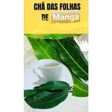 kit 30 folhas MANGA mangueira para CHÁ  Saúde drinks OFERTA