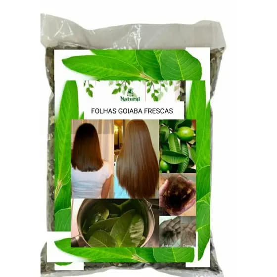 Folhas de GOIABA Frescas 100% Orgânicas Chá ou queda cabelo Aromaticas Saúde OFERTA
